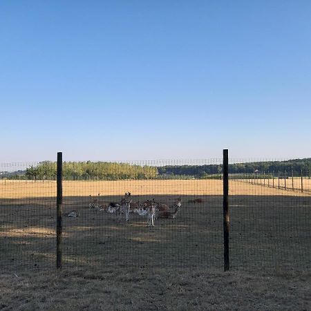 Lemen Huis Houwaart Tielt Exterior photo