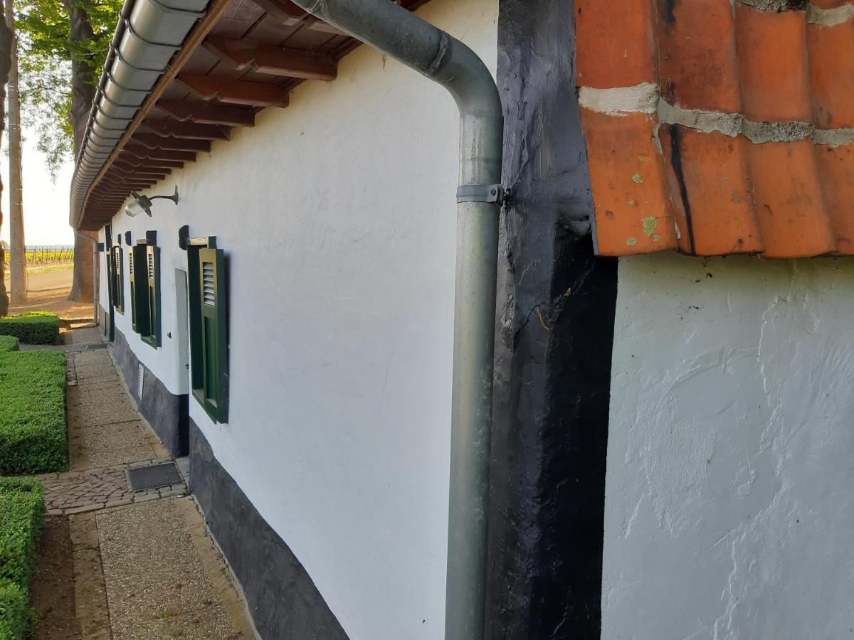 Lemen Huis Houwaart Tielt Exterior photo